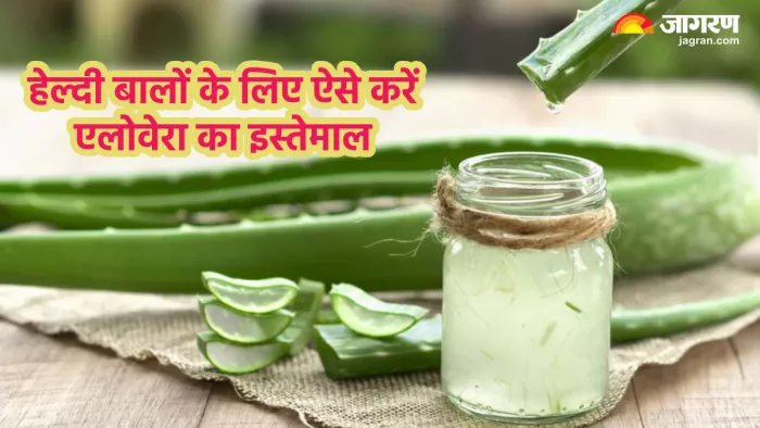 एलोवेरा जेल से दूर करें बालों से जुड़ी कई परेशानियां (Pic credit- freepik)