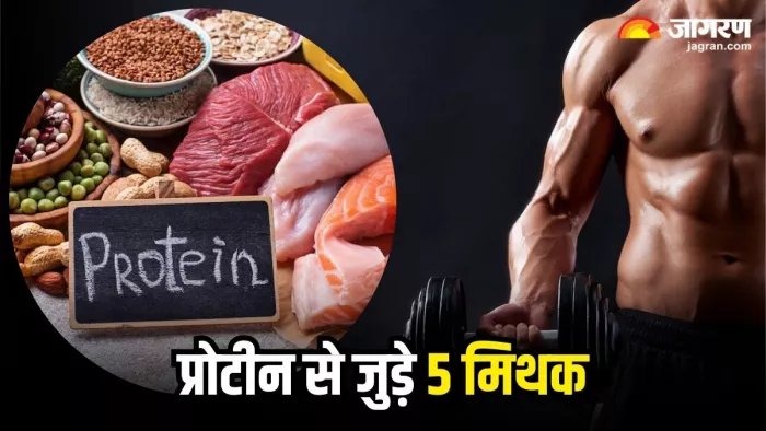 प्रोटीन से जुड़े इन 5 मिथकों पर भरोसा करना पड़ सकता है भारी, जानिए सच्चाई (Image Source: Freepik)