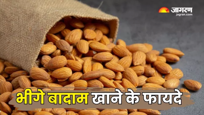 भीगे बादाम खाने के फायदे जान, हैरान रह जाएंगे आप (Picture Courtesy: Freepik)
