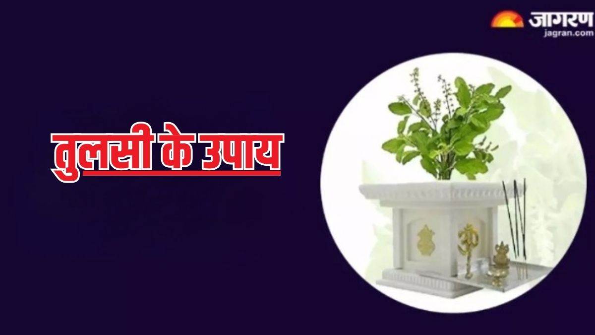 tulsi ke upay in hindi tulsi remedies for happy married life