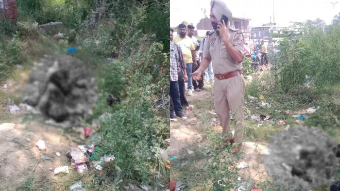 अमृतसर के मजीठा रोड बाईपास के पास धमाके में एक व्यक्ति की मौत होई।