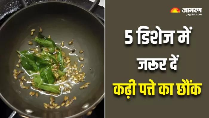 दाल या सब्जी के अलावा इन 5 डिशेज में भी लगाएं कढ़ी पत्ते का छौंक (Image Source: Freepik)