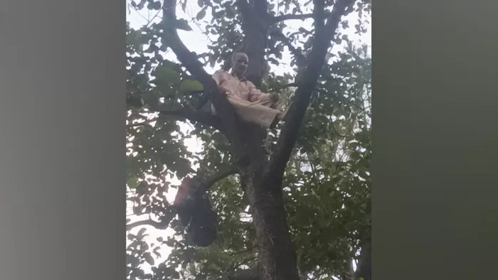 मानदेय कम होने की समस्या को लेकर आत्महत्या के इरादे से बनीखेत में पेड़ पर चढ़ गया जम्मू का एसपीओ