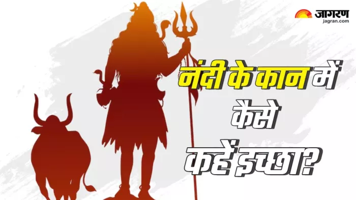 Nandi Puja niyam in hindi (Picture Credit: Freepik)