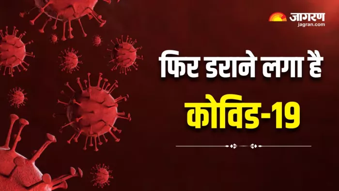 भारत में फिर बढ़ रहे COVID-19 के मामले! पिछले स्ट्रेन्स से अलग हैं नए JN.1 Variant के 2 लक्षण (Image:Freepik)