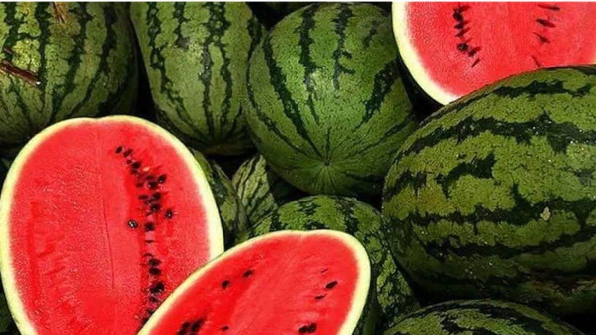 https://www.jagranimages.com/images/newimg/27052025/27_05_2025-watermelon_23948152.jpg
