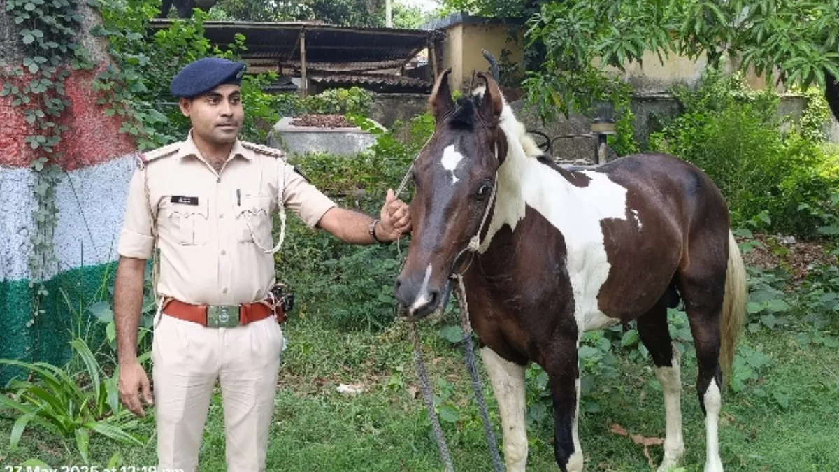 यूपी से घोड़ा लेकर बिहार आ रहा था शख्स, पुलिस के देखते ही घोड़े को छोड़कर हो गया फरार; हैरान कर देगा मामला!
