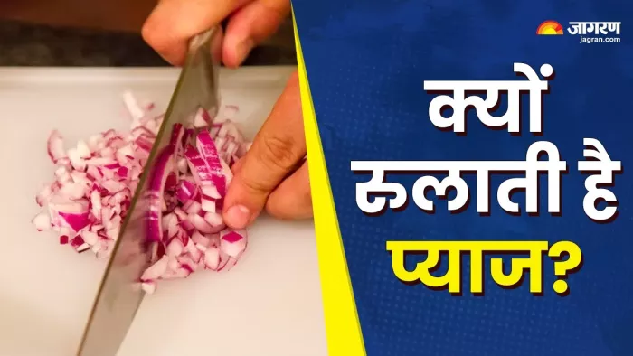 प्याज काटने पर आंखों से क्यों निकलते हैं आंसू? (Image Source: Freepik)