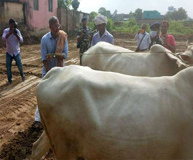 फिल्‍म अभिनेता नाना पाटेकर दो दिनों के लिए पहुंचे बिहार, मोकामा के खेत में चलाया हल
