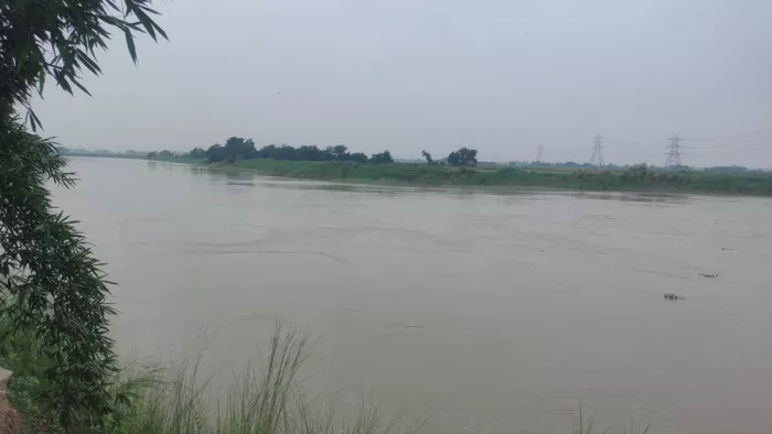 चौथम प्रखंड अंतर्गत बंगलिया गांव के पास कोसी का बढ़ा जलस्तर
