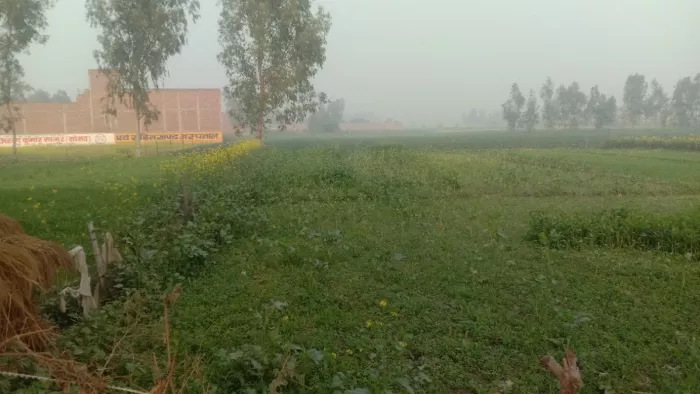 ग्रीनफील्ड एक्सप्रेस-वे के लिए जबरन भूमि अधिग्रहण से किसान नाराज (प्रतिकात्मक फोटो)