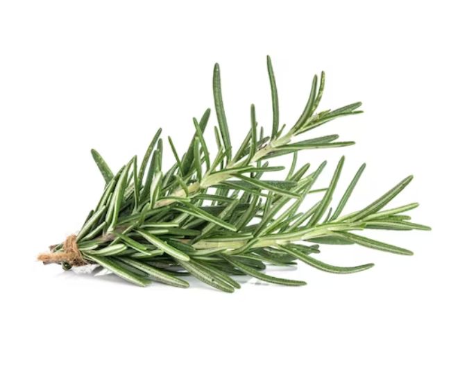 mosquito repellent plants