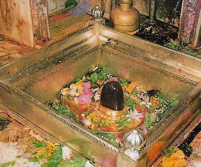 Shri Kashi Vishwanath Temple: पार्वती जी के लिए काशी आए थे शिव शंकर, जानें  कैसे हुए ज्योतिर्लिंग के रूप में स्थापित - Shri Kashi Vishwanath Temple  know mythological story behind this ...