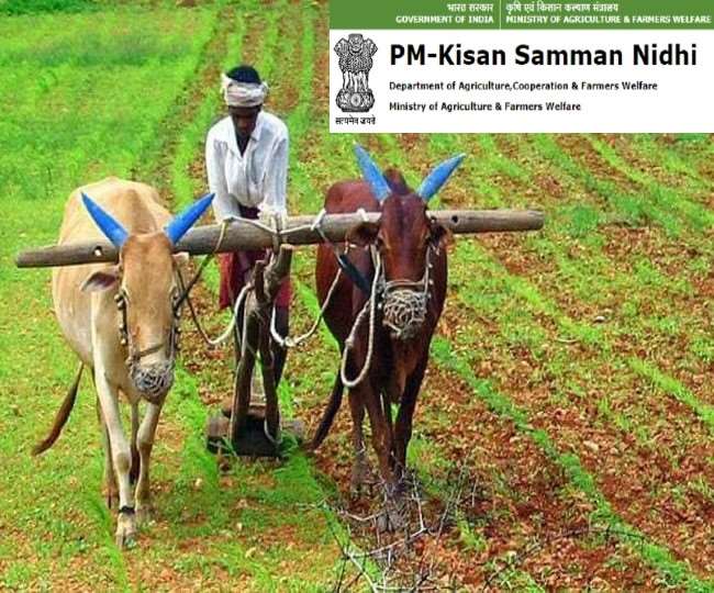 उत्तर प्रदेश के 7 लाख से ज्यादा अपात्रों को प्रधानमंत्री किसान सम्मान निधि लौटानी होगी।