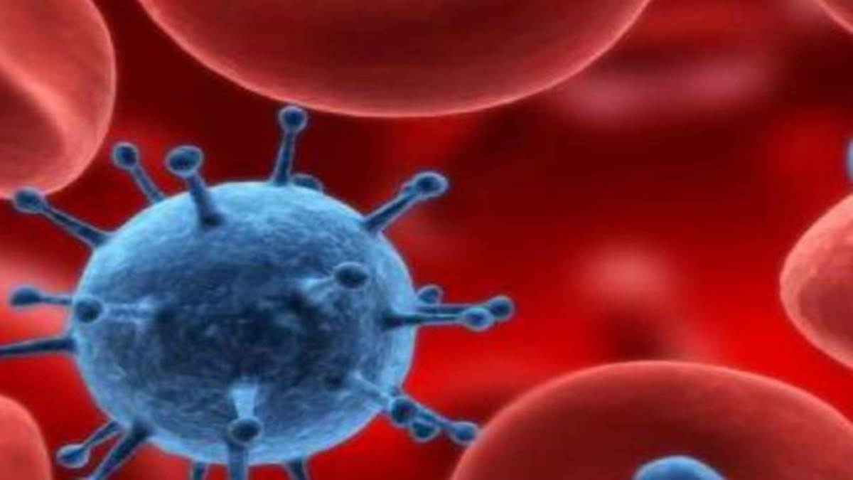 News Article Hero Image