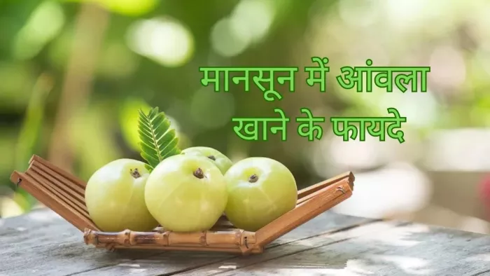Monsoon Health Tips: मानसून में आंवला खाने के हैं हैरान करने वाले फायदे