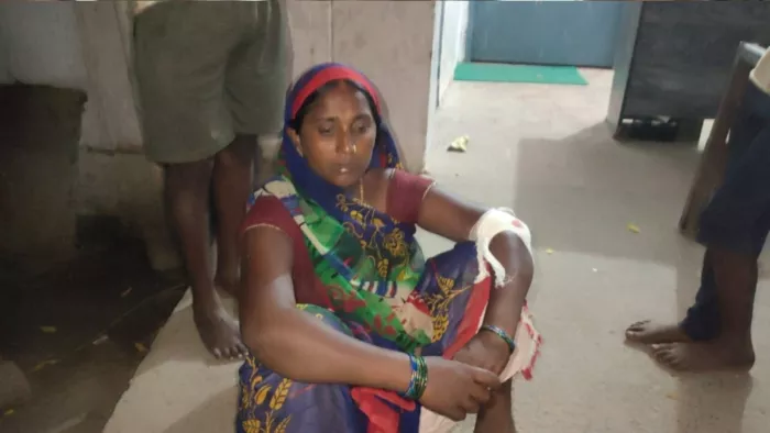 Bihar: भोजपुर में भैंस के चक्कर में देवर ने भाभी पर किया हमला