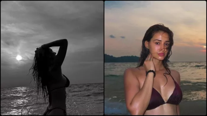 बिकिनी में दिशा पाटनी ने ढहाया कहर। फोटो क्रेडिट- इंस्टाग्राम