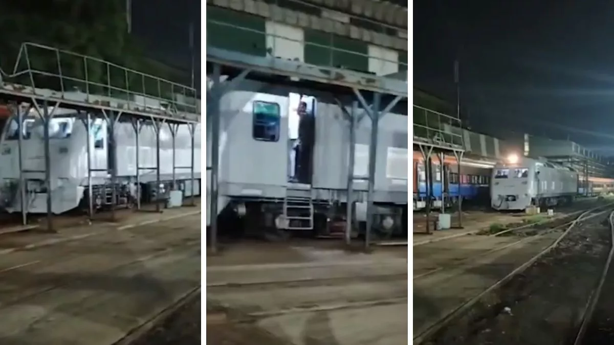 भारत में जल्द दौड़ेगी हाइड्रोजन ट्रेन! रेलवे ने किया सफल परीक्षण; कैसे करता है ये काम?
