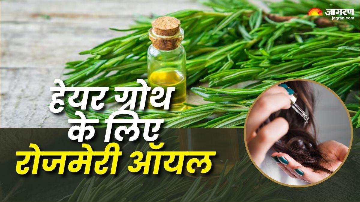 https://www.jagranimages.com/images/newimg/27072025/27_07_2025-rosemary_oil_for_hair_growth_23995853.jpg