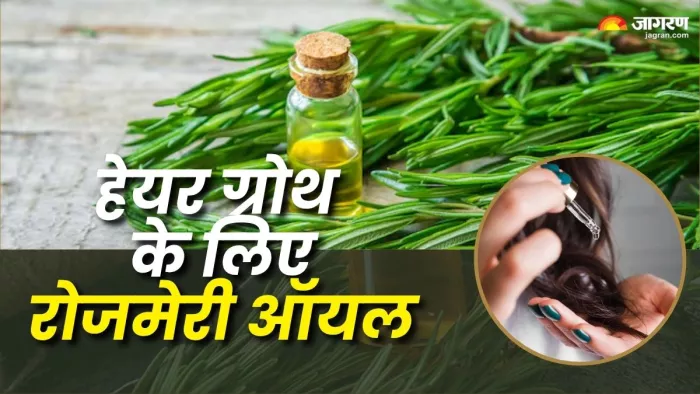 बालों को मजबूत बनाएगा रोजमेरी ऑयल (Picture Courtesy: Freepik)