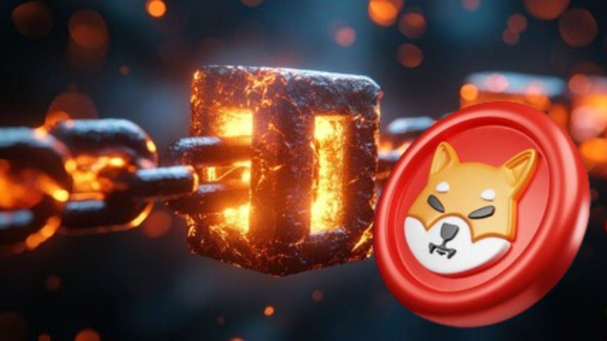 shiba inu burn rate jumps 2753 percent understand crypto burn shib dogecoin price impact