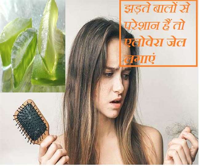 Aloe Vera Benefits For Hair: हेयर फॉल की बेस्ट रेमेडी है एलोवेरा, जानिए  कैसे करें बालों पर इस्तेमाल - Benefits of aloe vera for hair know How do  you apply it to