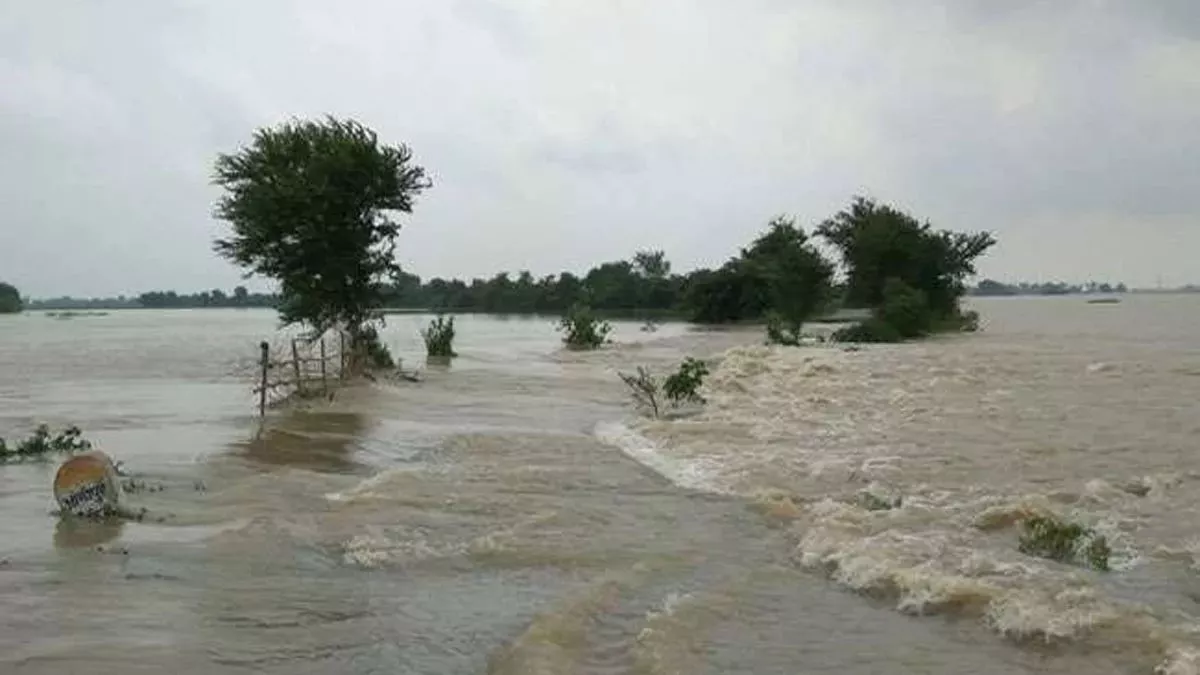 Bihar Flood: खतरे के निशान को पार कर रौद्र रूप दिखा रही बिहार की नदियां, कोसी के कोप से डूबे राज्य के कई जिले
