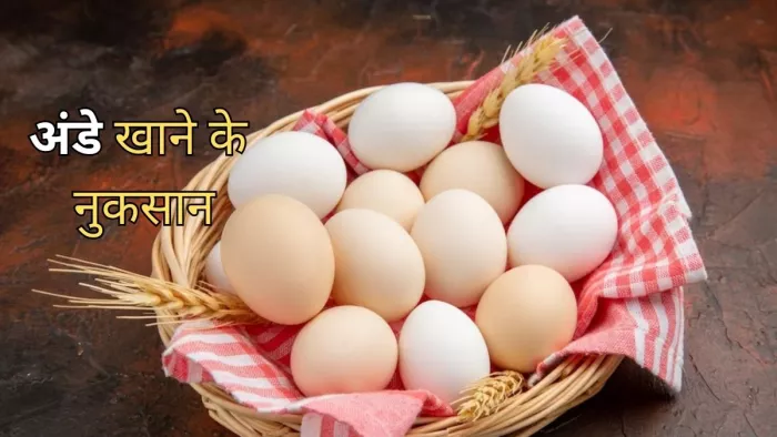 Egg Side Effects: अंडे खाने के ये हैं नुकसान