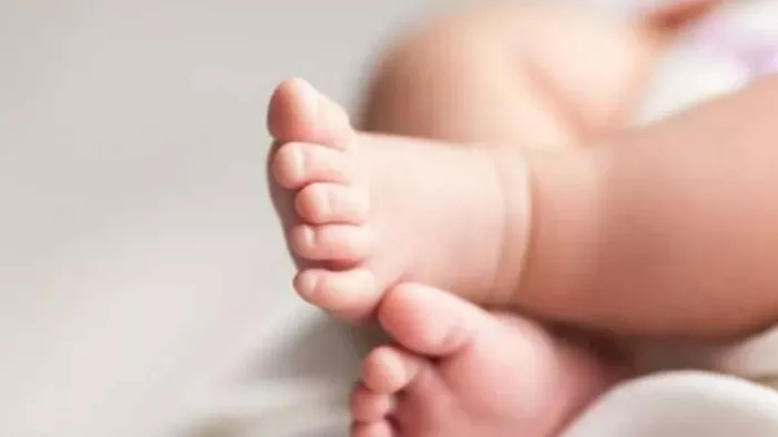 ग्रेटर नोएडा में बेटा पैदा होने की खुशी में की हर्ष फायरिंग, पिता समेत दो गिरफ्तार