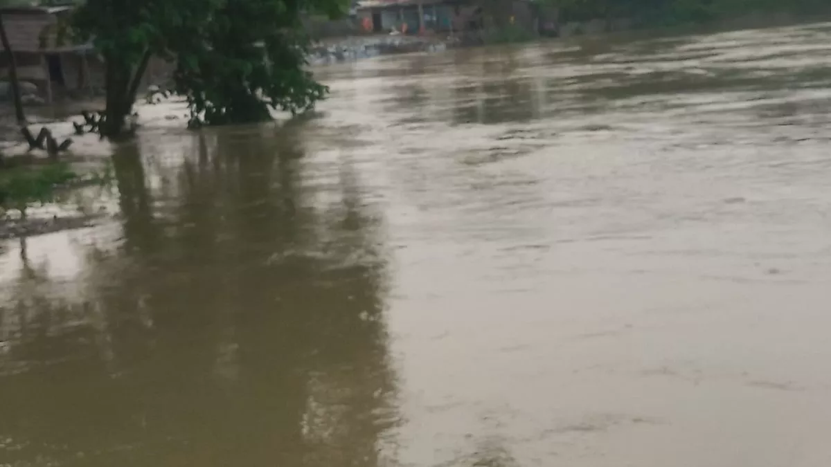 अररिया में बाढ़ का खतरा मंडराया, कई नदियों के जलस्तर में अप्रत्याशित वृद्धि; कई गांवों में घुसा पानी