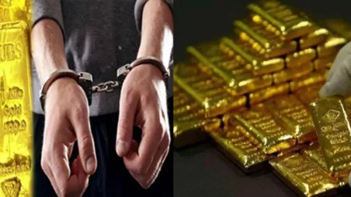 अधिकारियों ने अनुवर्ती अभियान (follow-up operation) के तहत आरोपी के परिसर की तलाशी ली-