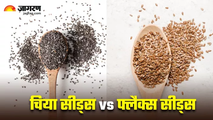Chia Seeds vs Flax Seeds: किसे खाने से मिलेगा ज्यादा फायदा? (Image Source: Freepik)