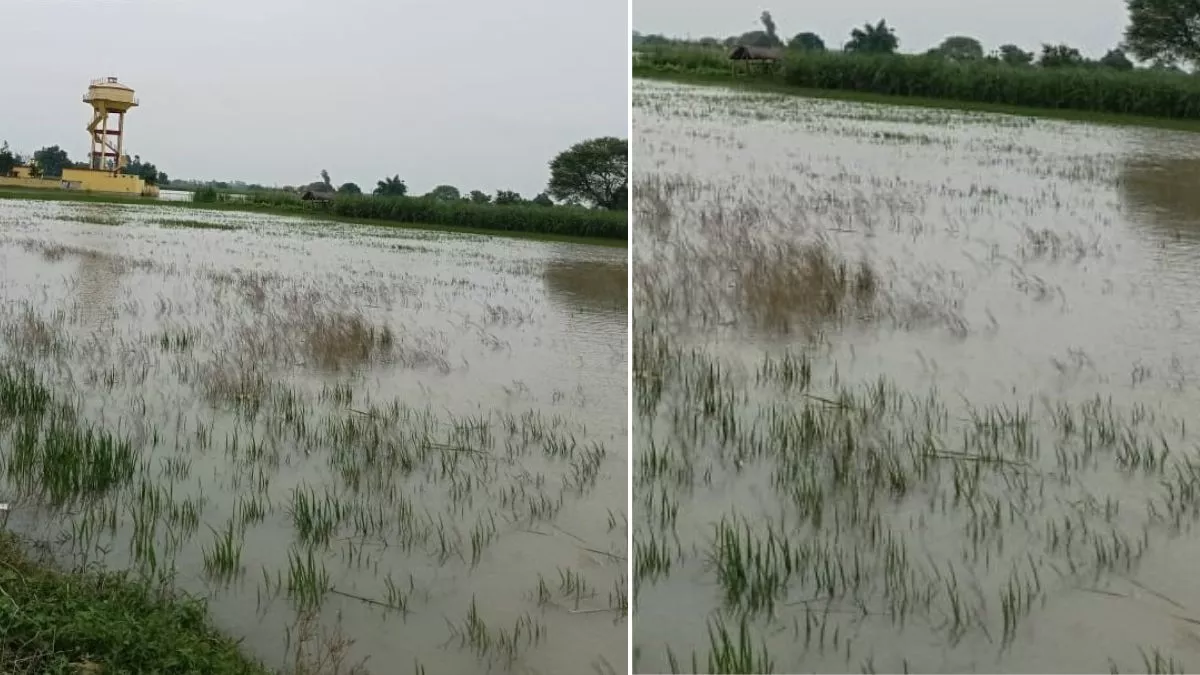पूर्वांचल में बाढ़ का कहर: सरयू नदी के उफान से मऊ के दर्जनों गांव प्रभावित, नाव ही एकमात्र विकल्प