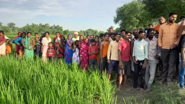 भेड़िए के लगातार हो रहे हमलों से दहशत में हैं ग्रामीण।