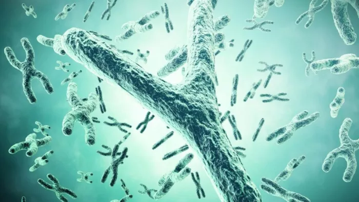 Y Chromosomes में तेजी से हो रही गिरावट, नई स्टडी ने वैज्ञानिकों को चौंकाया (Image Source: Freepik)