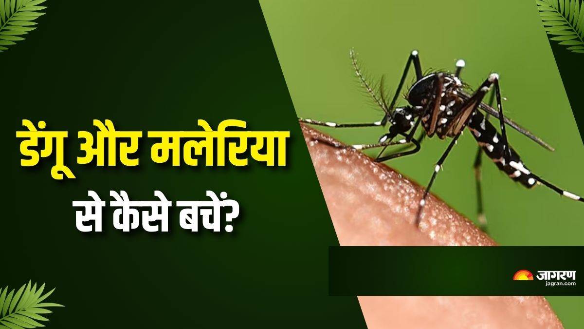 https://www.jagranimages.com/images/newimg/27082025/27_08_2025-dengue_cases_24026378.jpg