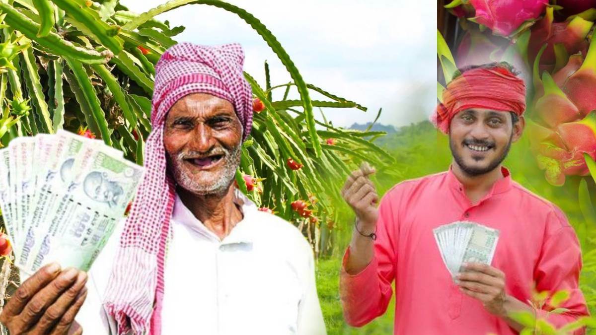 https://www.jagranimages.com/images/newimg/27082025/27_08_2025-dragon_fruit_vikas_yojana_24026761.jpg