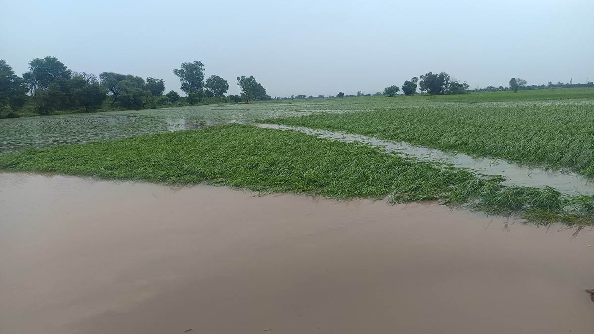 https://www.jagranimages.com/images/newimg/27082025/27_08_2025-flood_24027328_23229653.jpg