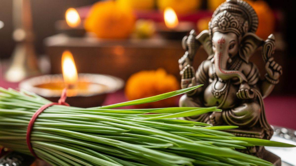 https://www.jagranimages.com/images/newimg/27082025/27_08_2025-ganesh_chaturthi_2025_durva_grass_benefits_24025592.jpg