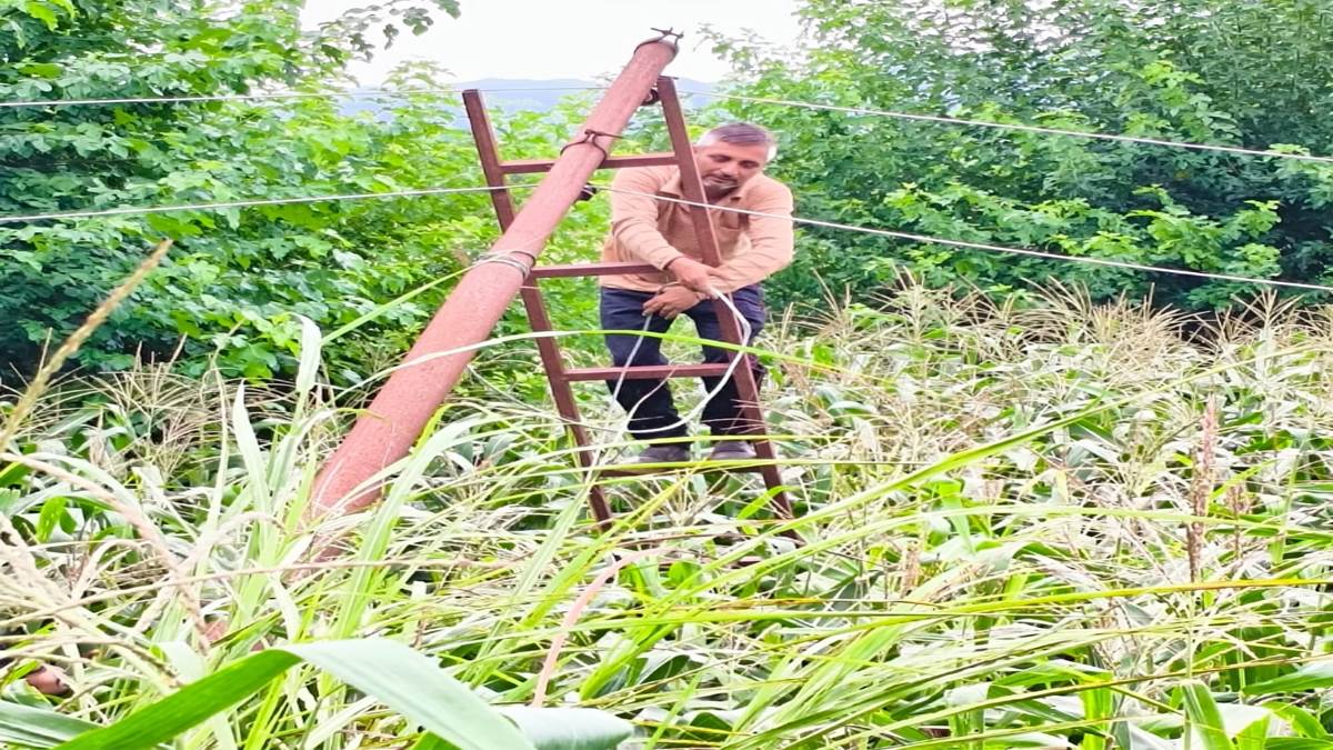 https://www.jagranimages.com/images/newimg/27082025/27_08_2025-rajouri_pdd_24027019.jpg