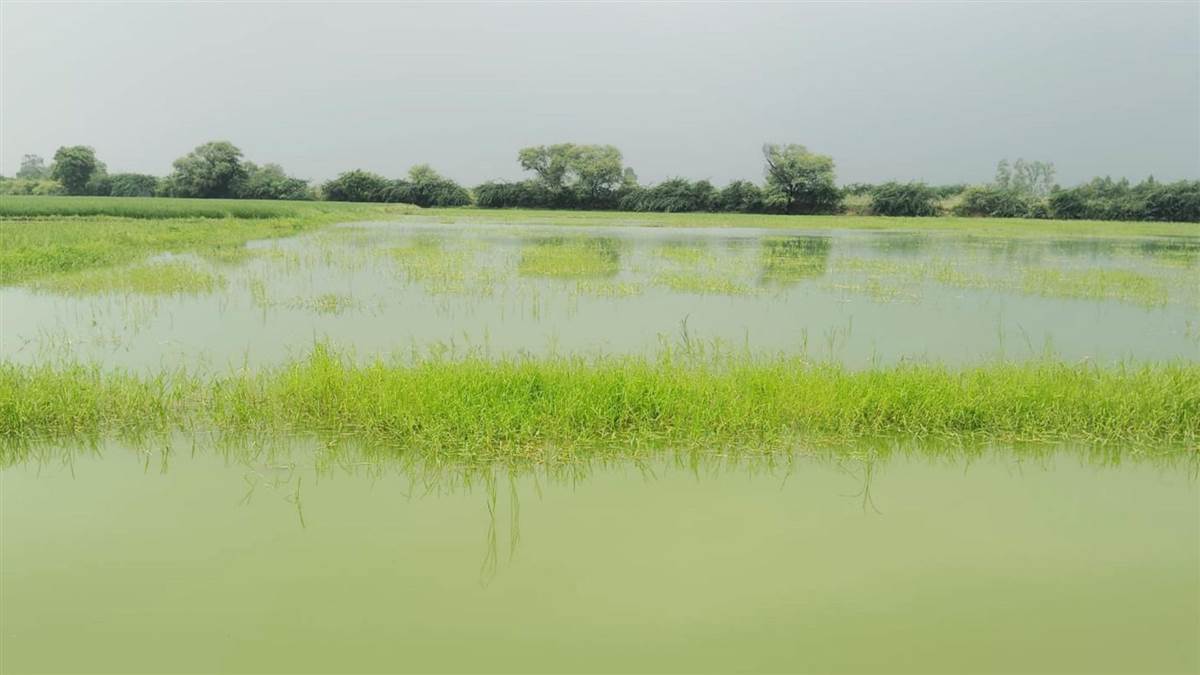 https://www.jagranimages.com/images/newimg/27082025/27_08_2025-sonipat_19_24026822.jpg