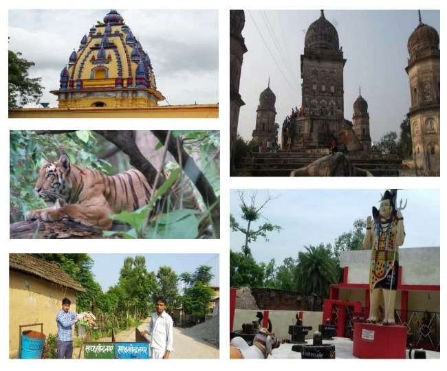 Job in lakhimpur kheri district