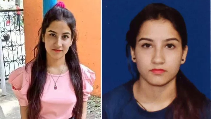 Ankita Murder Case : अंकिता के दोस्त ने किए उस रात को लेकर खुलासे। फाइल फोटो