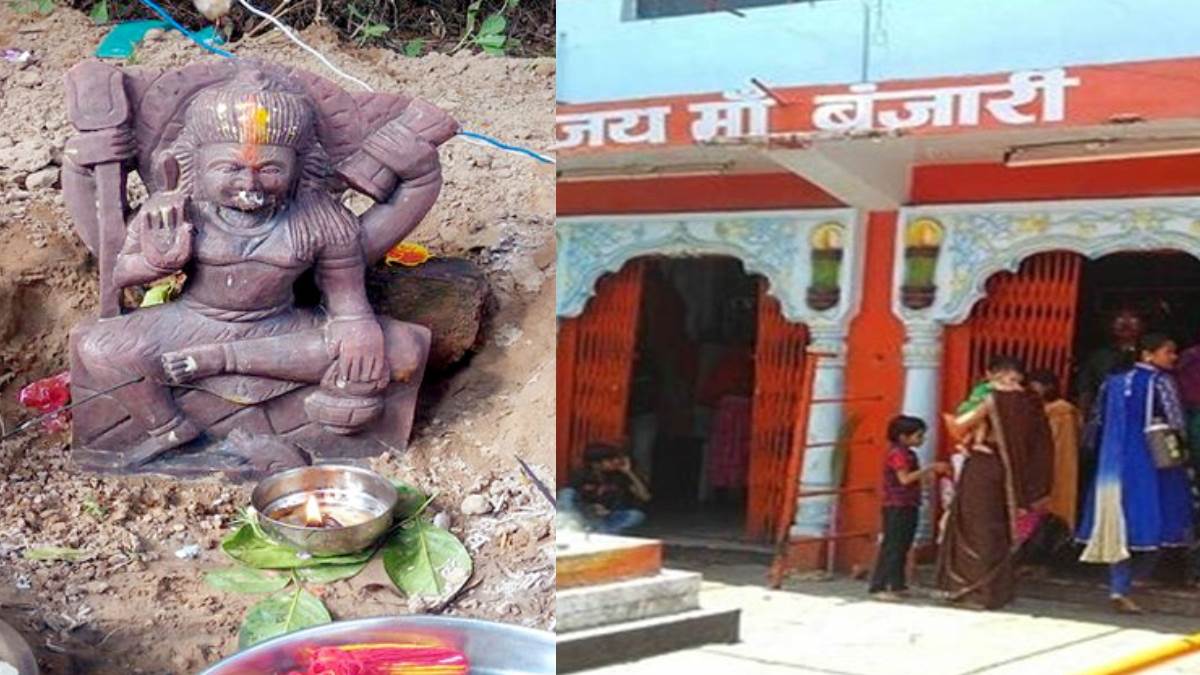 News Article Hero Image