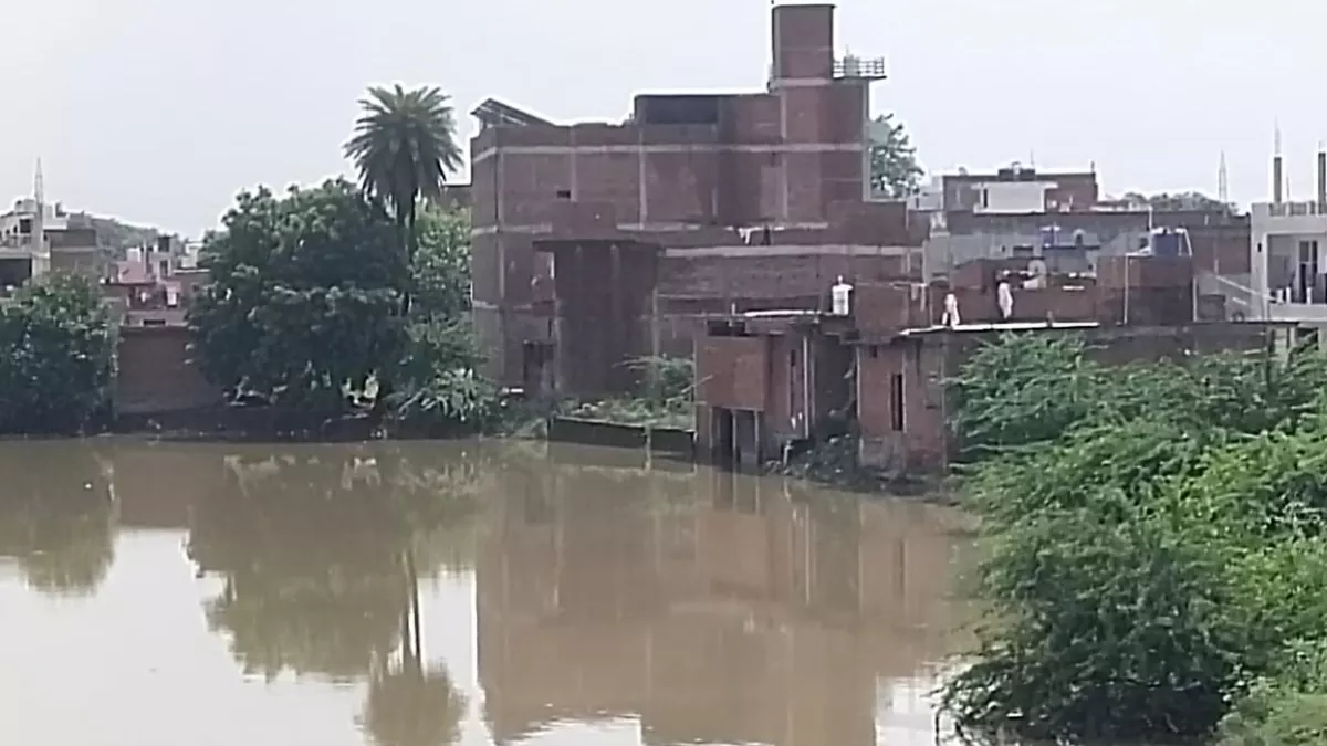 Kanpur News : गंगा के जलस्तर बढ़ने से पांडु नदी उफान पर, बर्रा आठ के कई झोपड़ी और मकानों में भरा पानी
