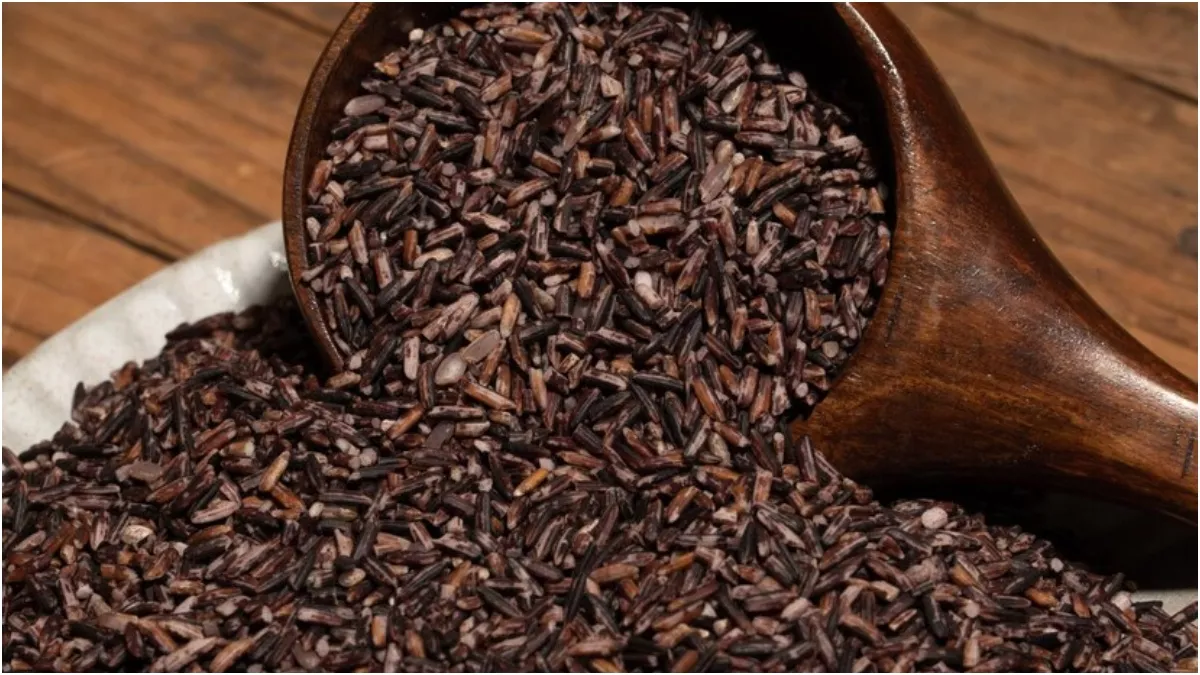 Black Rice In Diabetes: क्या आप डायबिटीज़ से पीड़ित हैं? तो काले चावल हो सकते हैं फायदेमंद