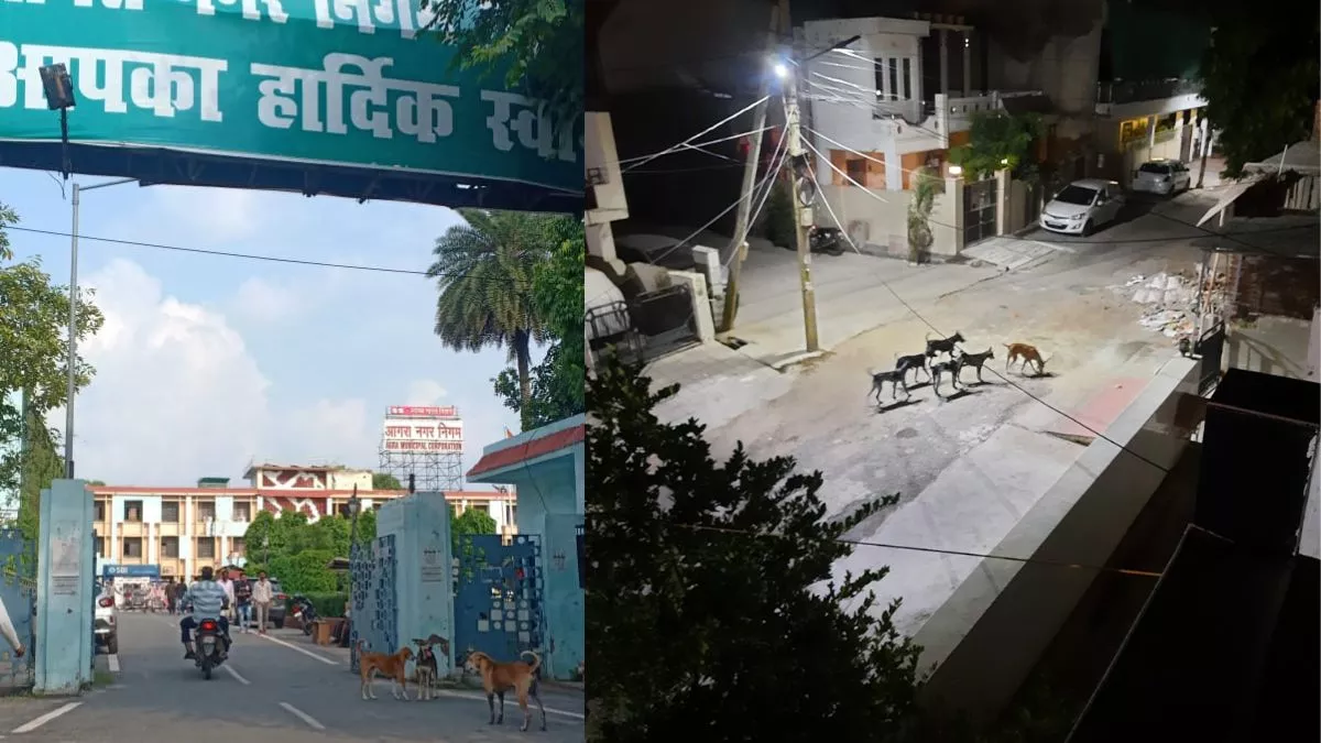 Agra News: स्मार्ट सिटी का ये रूप भी, है दम तो पकड़ के दिखाओ...नगर निगम के गेट पर खड़े कुत्ते दे रहे चुनौती