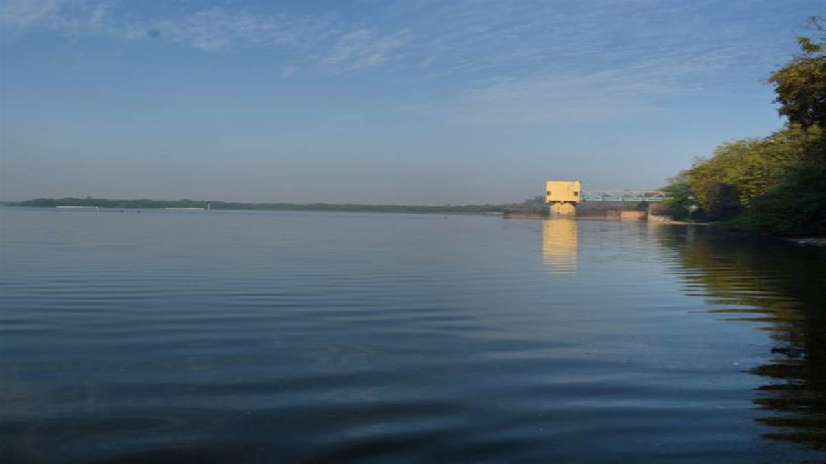 ramsar site sur sarovar bird sanctuary in agra