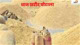 Moradabad Paddy Purchase Scam : अफसरों की भूमिका पर भी उठ रहा है सवाल